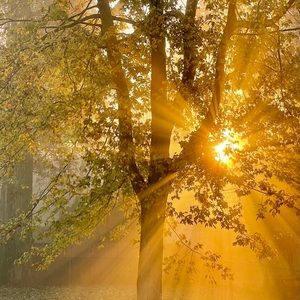 Meet your Posher, TT